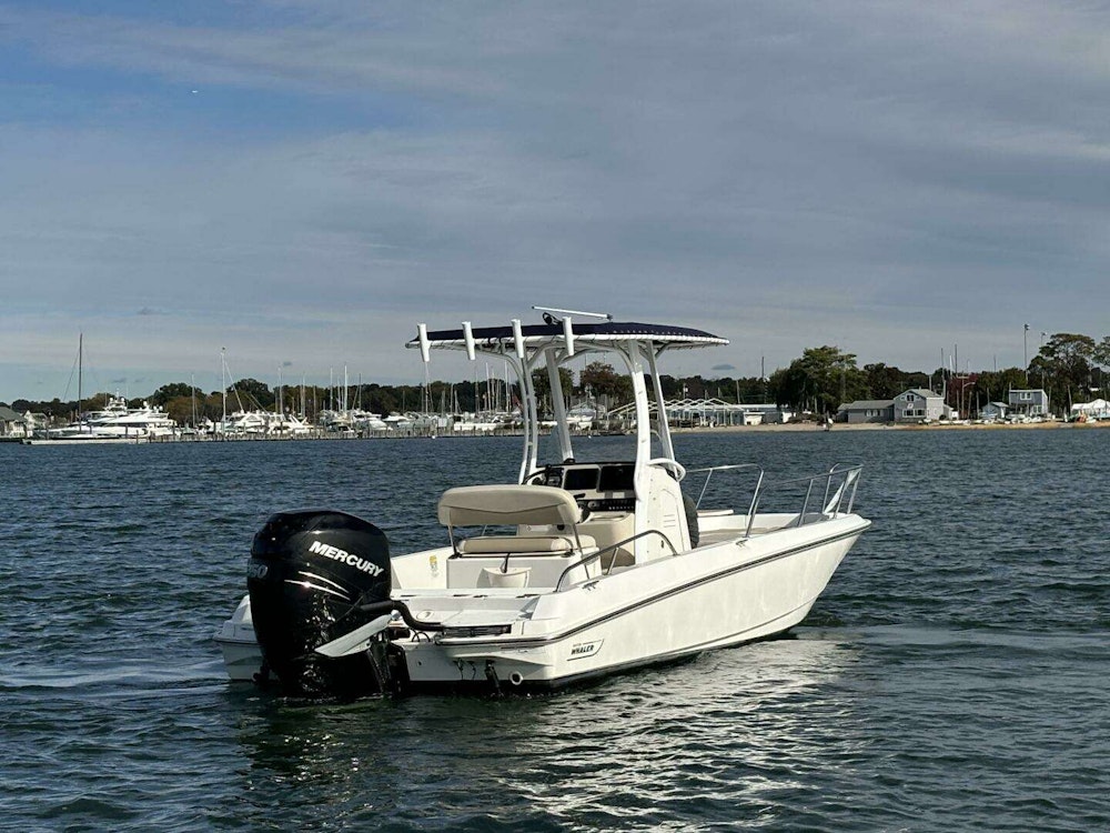 Boston Whaler 240 Dauntless Yacht For Sale
