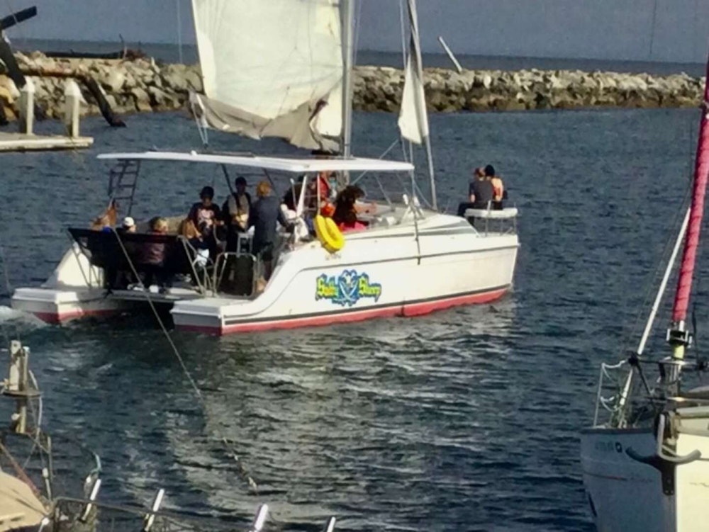 Gemini Gemini Freestyle 37 Yacht For Sale