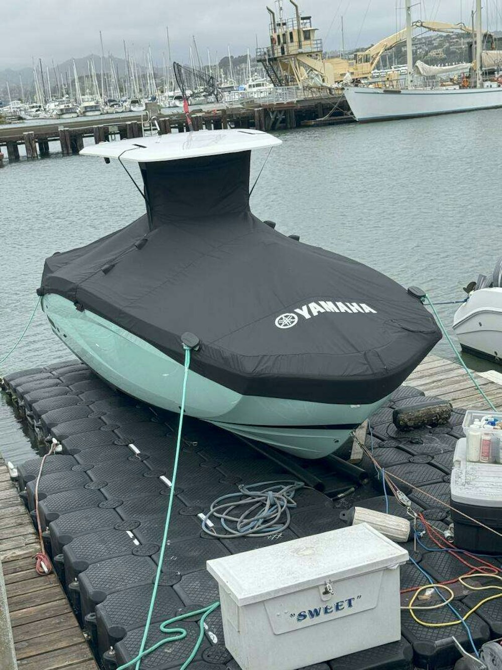 Yamaha Boats FSH Sport E Yacht For Sale