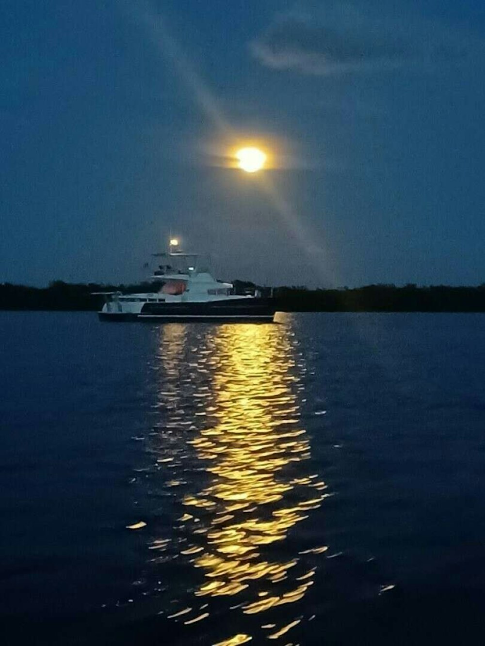Lagoon Lagoon 43 PC Yacht For Sale
