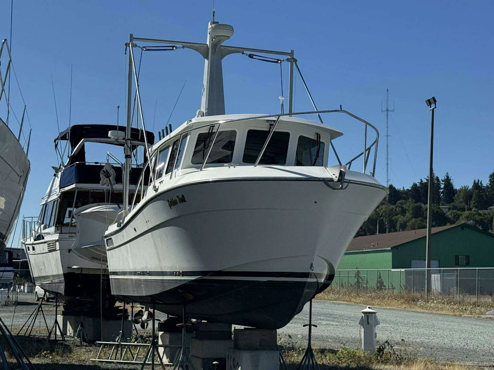 Ocean Sport  Yacht For Sale