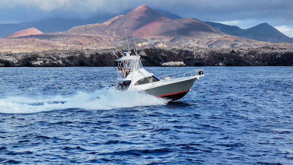 Viking 38 Billfish Yacht For Sale