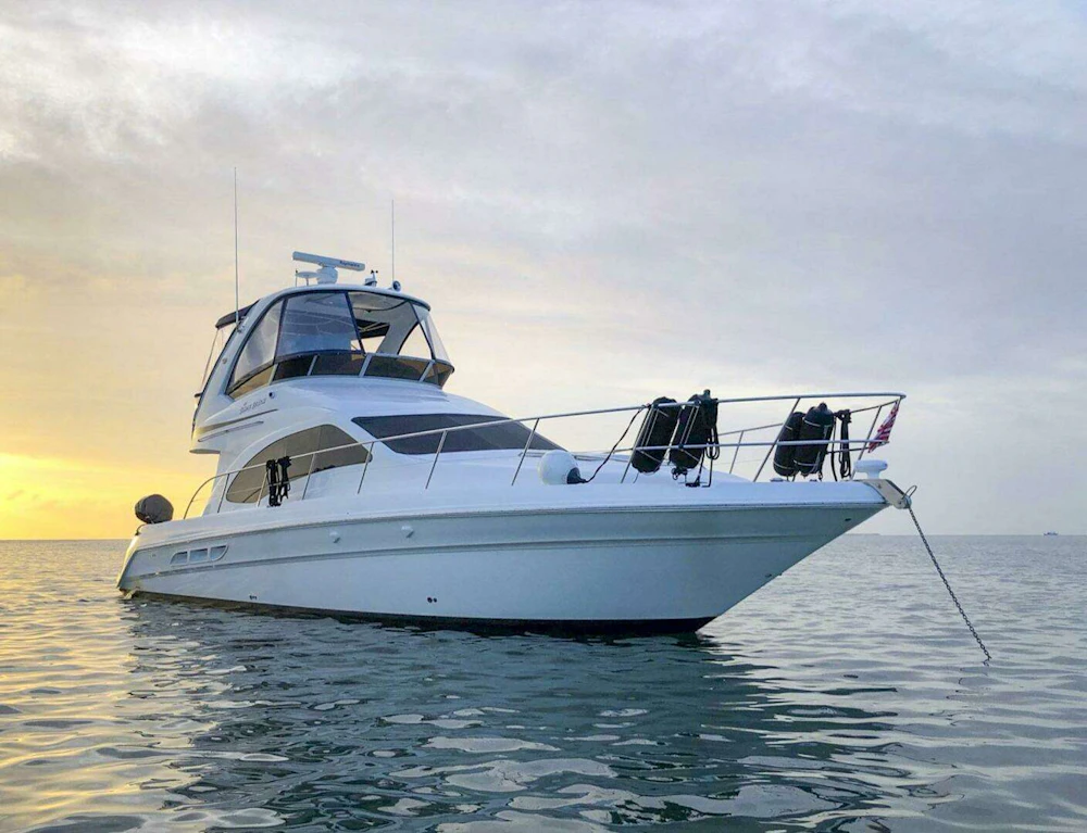 Sea Ray 44 Sedan Bridge Yacht For Sale
