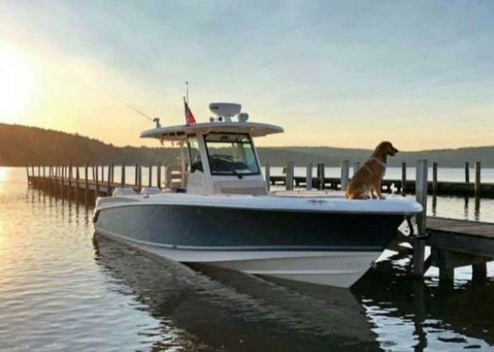 Boston Whaler  Yacht For Sale