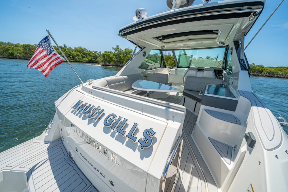Sea Ray 320 Sundancer Yacht For Sale