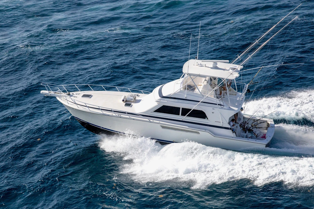 Bertram  Yacht For Sale