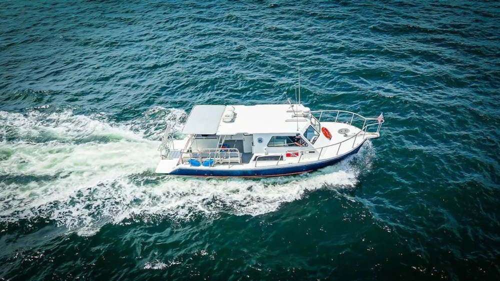 Newton 36' Dive Special Yacht For Sale