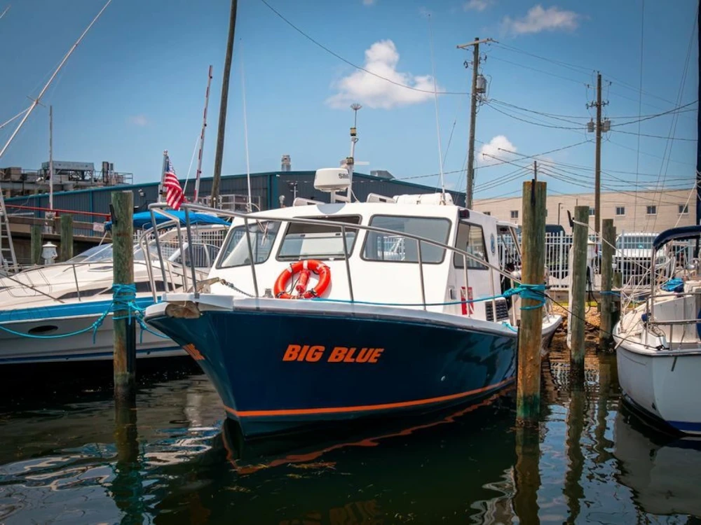 Newton 36' Dive Special Yacht For Sale