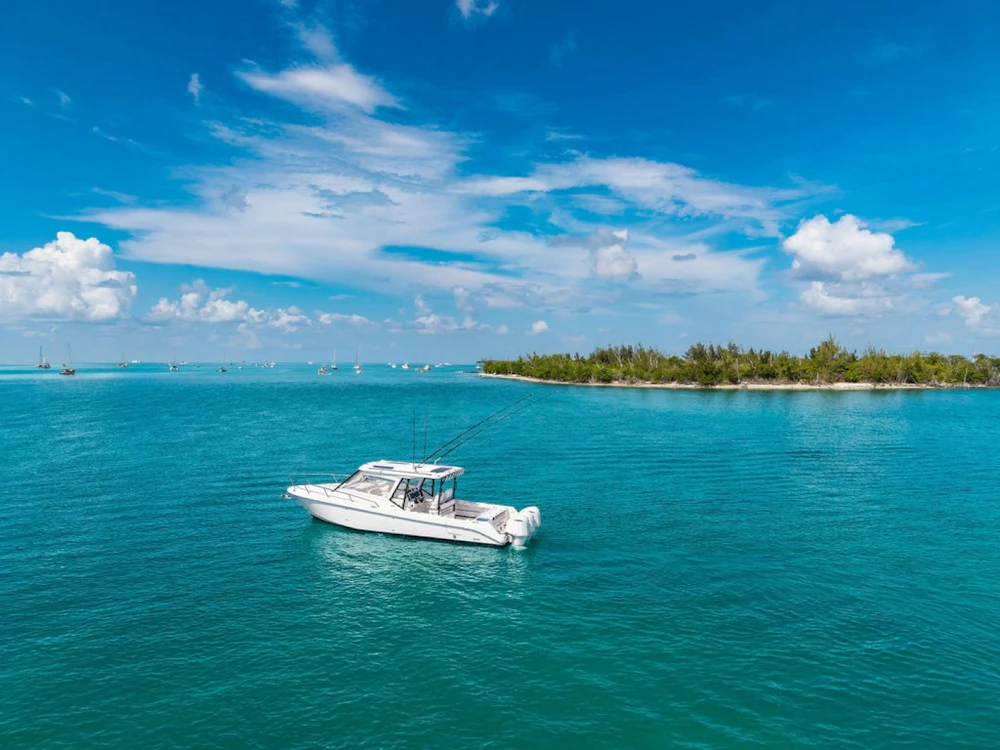 Everglades  Yacht For Sale