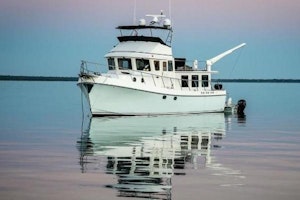 Picture Of: 48' American Tug 485 2015 Yacht For Sale | 1 of 61