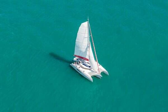 Neel  Yacht For Sale