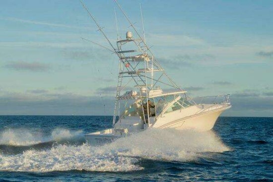 Cabo Express with Tower Yacht For Sale