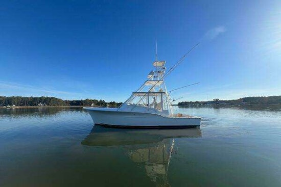 Jersey Cape 36 Express Yacht For Sale