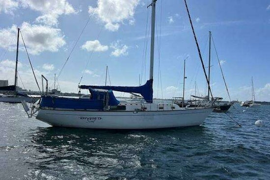 Morgan  Yacht For Sale