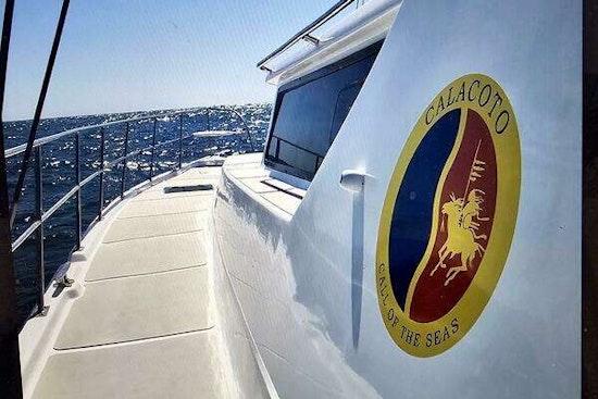 Royal Cape Catamarans Majestic 530 Yacht For Sale