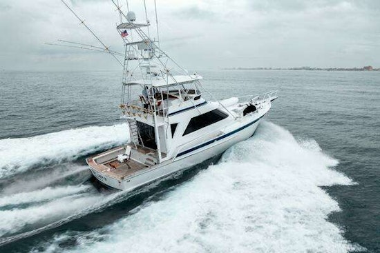 Striker  Yacht For Sale
