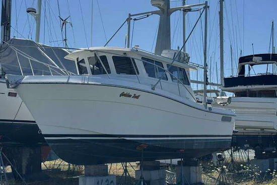 Ocean Sport  Yacht For Sale