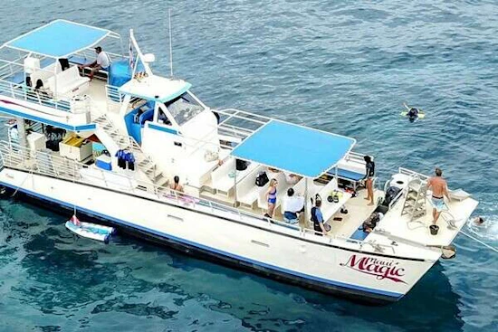 Aluminum Cruiser COMMERCIAL PASSENGER VESSEL Yacht For Sale