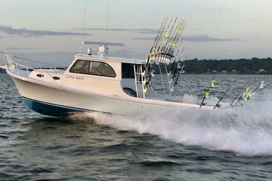 Judge 36 Chesapeake Yacht For Sale