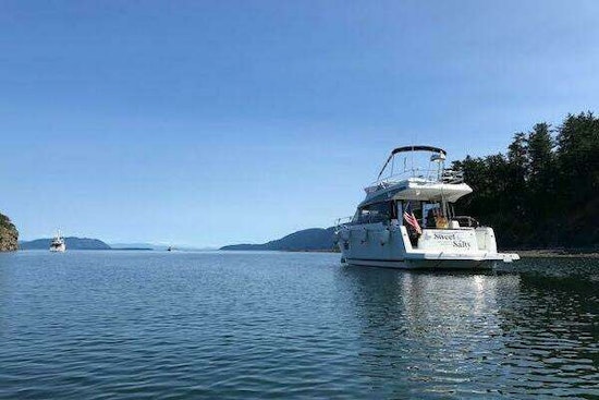 Jeanneau Velasco Yacht For Sale