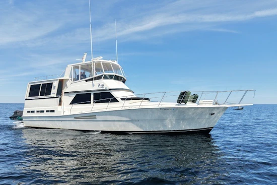 Viking 48 Motor Yacht Yacht For Sale