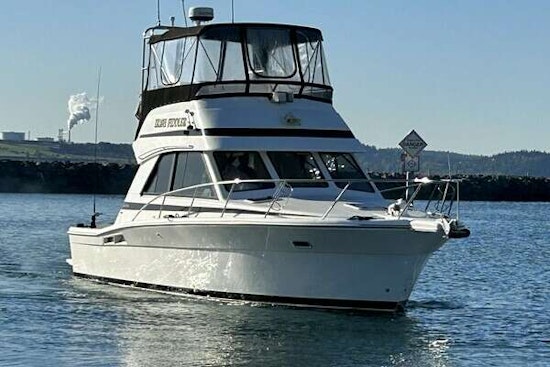 Riviera 34 Convertible Yacht For Sale