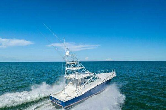 Cabo 45 Express Yacht For Sale