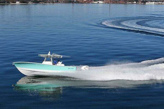 Regulator 31 FS Yacht For Sale