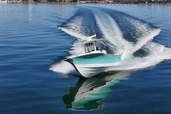 Regulator 31 FS Yacht For Sale
