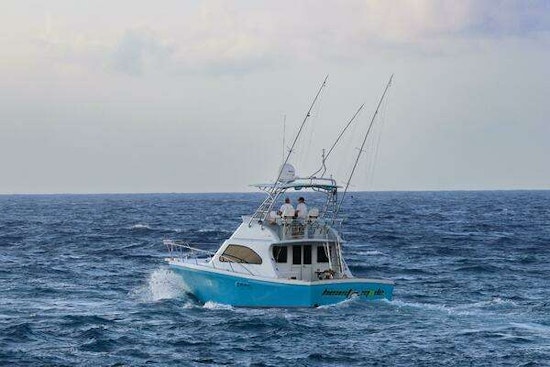 Black Watch  Yacht For Sale