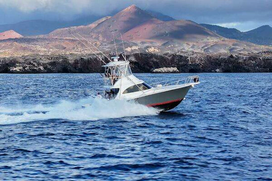Viking 38 Billfish Yacht For Sale