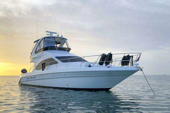 Sea Ray 44 Sedan Bridge Yacht For Sale