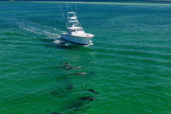 Daytona Custom Carolina Express Yacht For Sale