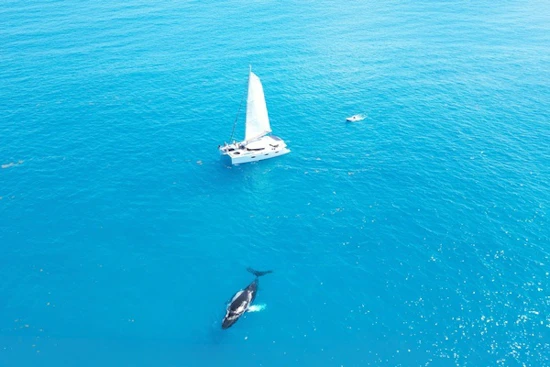 Fountaine Pajot Sanya 57 Yacht For Sale