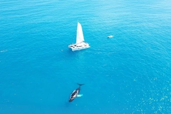 Fountaine Pajot Sanya 57 Yacht For Sale