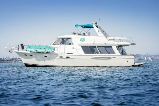 Meridian 490 Pilothouse Yacht For Sale