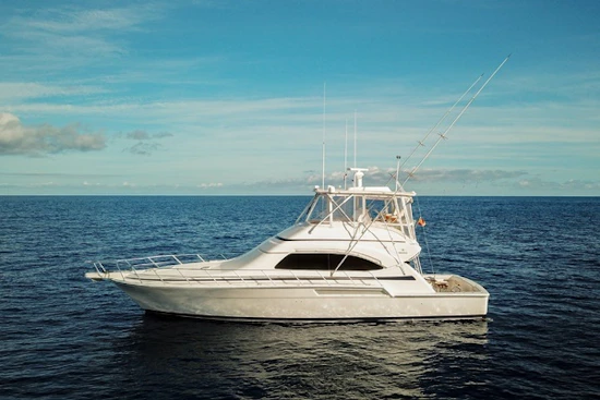 Bertram 510 Convertible Yacht For Sale