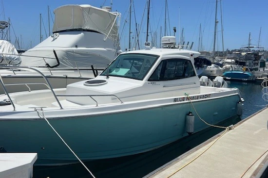 Custom Blue whale 36OB Yacht For Sale