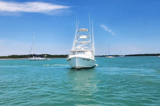 Young Brothers Custom Sport Fish/Charter Business Yacht For Sale