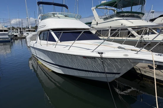 Bayliner 288 Classic Yacht For Sale