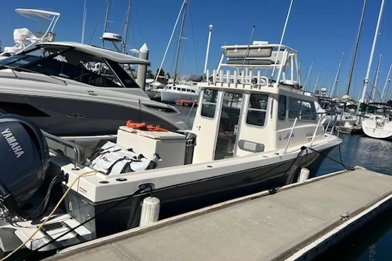 Defiance GUADALUPE 290 EX Yacht For Sale