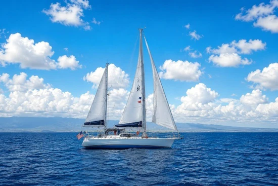 Shannon  Yacht For Sale