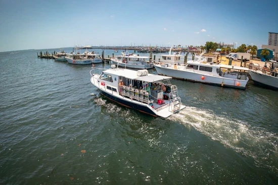 Newton 36' Dive Special Yacht For Sale