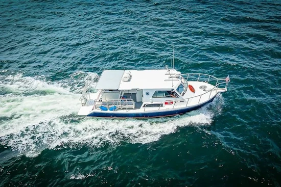 Newton 36' Dive Special Yacht For Sale
