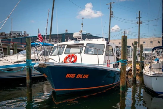 Newton 36' Dive Special Yacht For Sale
