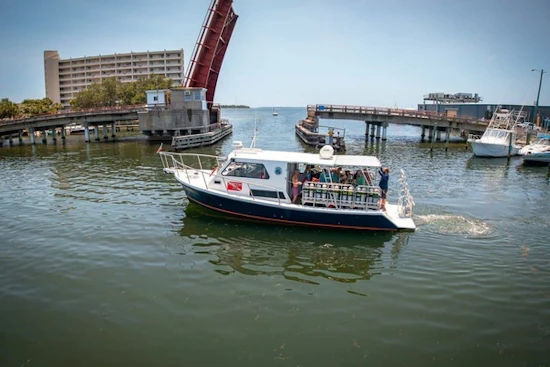 Newton 36' Dive Special Yacht For Sale