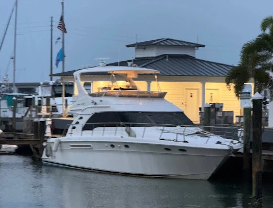 Sea Ray Sedan Bridge Yacht For Sale