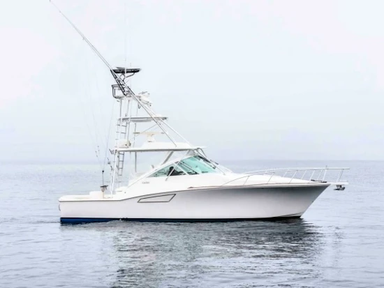 Cabo 38 Express Yacht For Sale
