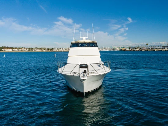 Viking Enclosed Bridge Yacht For Sale